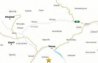 Tercan’da 4.2 büyüklüğünde deprem