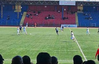 TFF 3. Lig: Fosfat Spor: 2 - Uşakspor: 2