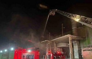 Tırsan’da korkutan yangın