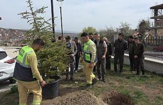 Tosya Adalet Sarayı bahçesinde fidanlar toprakla...