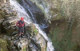 Trabzon’da dereye düşen köpeği itfaiye personeli...