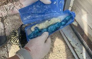 Tunceli’de şampuan şişesine gizlenmiş uyuşturucu...