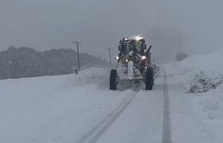 Tunceli’de taşımalı eğitime ara verildi