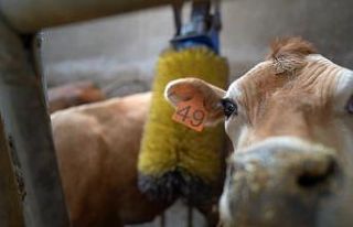 Türkiye’de ilk kez Trabzon’da yapıldı: Jersey...