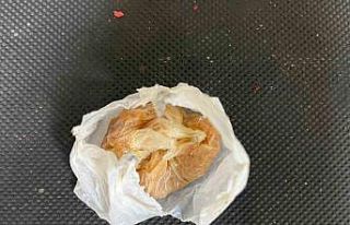 Uyuşturucu satıcıları tutuklandı