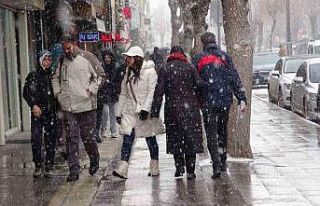 Van’da kar yağışı hayatı olumsuz etkiledi