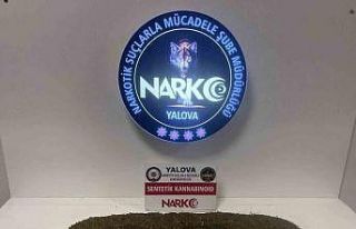 Yalova’da uyuşturucu operasyonlarında 3 tutuklama