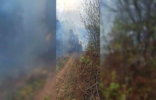 Yalova’daki orman yangını kontrol altına alındı