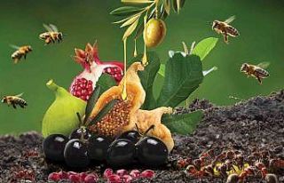 Yaptığı çalışmaları karıncalara test ettirdi,...