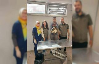 Yaralı akdoğan hayata döndürüldü