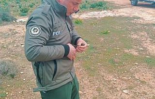 Yaralı ve bitkin bulunan Ebabil kuşu koruma altına...