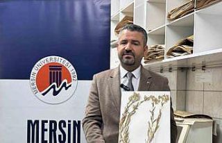 Yeni bitki türü keşfedildi: Bitkiye hayatını...