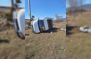 Yoldan çıkan kamyonet tarlaya uçtu: 2 yaralı