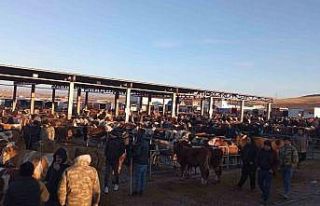 Yozgat’ta geçici olarak kapatılan hayvan pazarları...