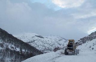 Yüksek kesimlerde mart karı
