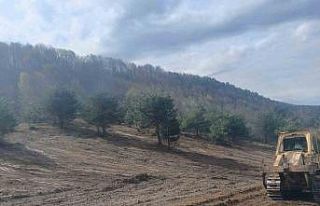 Zonguldak’ta sokak hayvanları için çalışmalar...