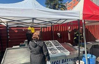 Zonguldak’ta tezgahlarda mezgit bolluğu