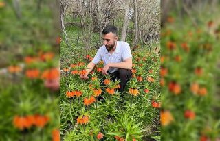 20 günlük ömrü var, zarar vermenin cezası 244...