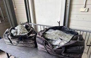 23 kilo 800 gram esrarı Türkiye’ye sokacaklardı
