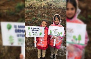 ‘81 İlde 81 Orman’ projesi Bitlis’te