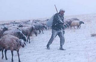 Ağrı’da kar yağışı hayatı felç etti