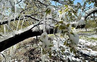 Akçin: "Bu sadece bir ürün kaybı değil,...