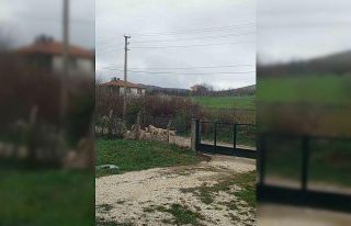Akpınar halkı başıboş köpeklerden tedirgin