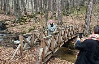 Ara tatil ve bayram tatilini Domaniç’in güzellikleriyle...