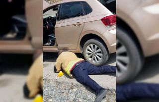 Aracın kaputuna giren yavru kediyi itfaiye kurtardı