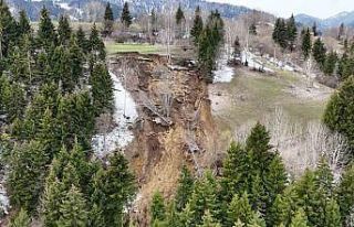 Ardanuç’ta ormanlık alanda yaşanan heyelan korkuttu