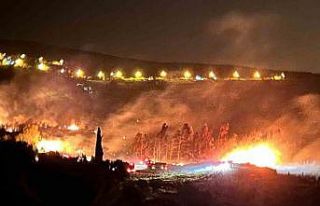 Arsuz’da çıkan orman yangını kontrol altına...