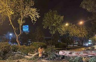 Aydın Büyükşehir Belediyesi’nden şiddetli yağış...