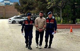 Aynı aileden 4 kişinin öldüğü kazada tır sürücüsü...