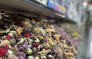 Bahar alerjilerine bitkisel çözüm