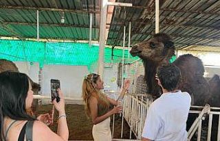 Başkan Kaya’dan Avrupalı öğrencilere devecilik...