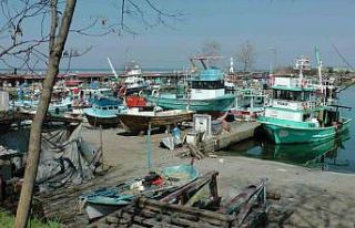 Batı Karadeniz’de balıkçılar sezonu erken kapattı