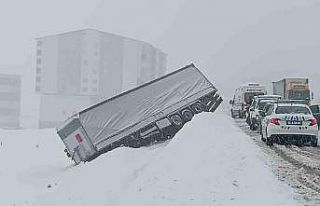 Bitlis’te kayganlaşan yolda tır şarampole yuvarlandı
