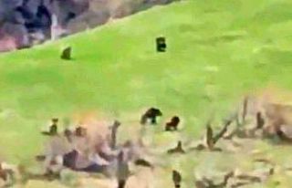 Böylesi ilk kez görüntülendi: Kış uykusundan...