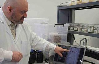 Bu sensörler sayesinde yapı betonlarındaki hareketler...