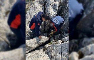 Burdur’da kayalıklar arasında sıkışan keçi...