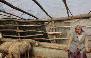 Büyükşehir’in kırsal kalkınma projeleri yüzleri...