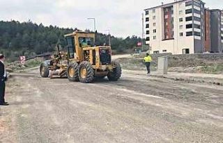 Cadde ve sokaklardaki asfalt çalışmaları başladı
