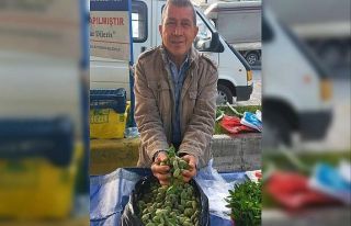 Çağla, Aydın’daki tezgahlarda yerini aldı: Kilosu...