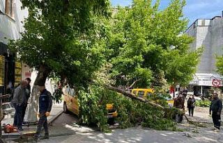 Çanakkale’de fırtınada kırılan ağaç dalı...