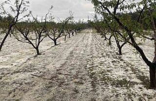 Çanakkale’de meyve bahçelerini dolu vurdu