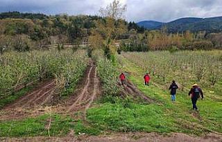 Çanakkale’de zirai don hasar tespit çalışmaları...