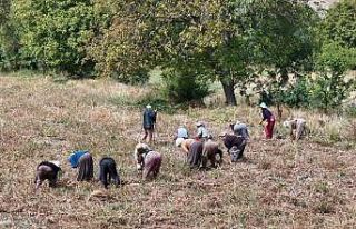 Çiftçilere destek ödemesi bugün yapılacak