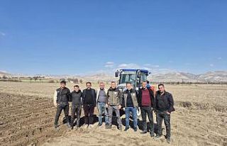 Çiftçinin göz bebeği patates