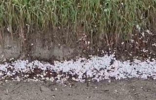 Çorum’da ceviz büyüklüğünde dolu yağdı