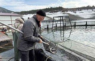 Deniz olmayan Tokat’ta balıkçıların bayram mesaisi